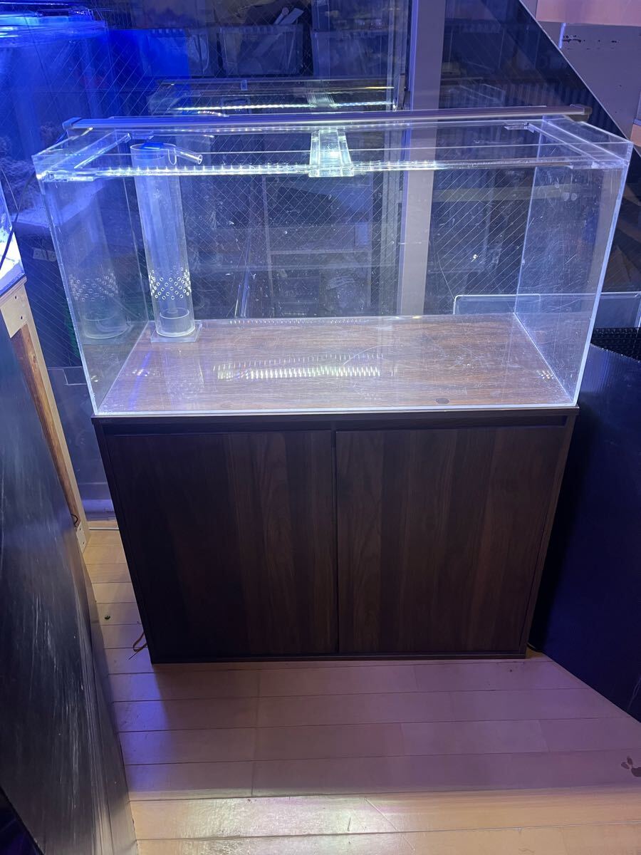 1点限定450×300×360㎜オールガラスオーバーフロー水槽 セット