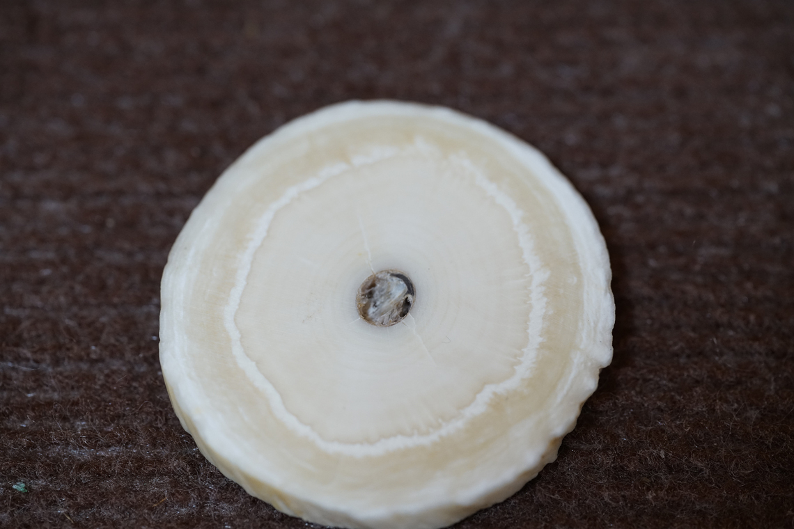 江戸時代 古い 一角 イッカク 鯨歯 根付 蓋置 骨董古美術 江戸時代