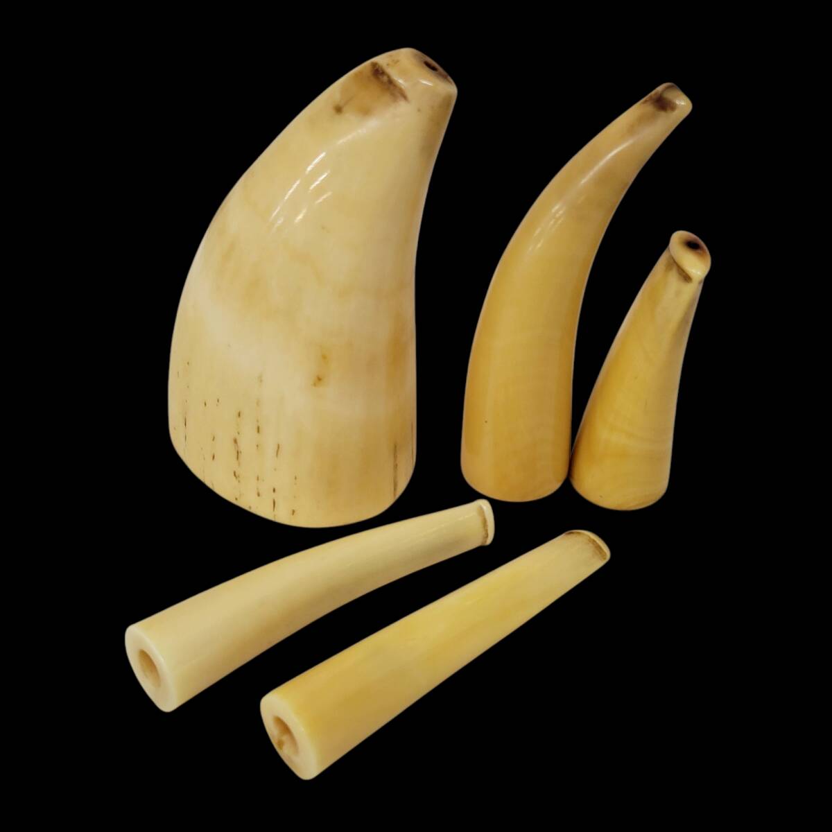 希少マッコウ鯨の歯 パイプ 工芸品 希少マッコウ鯨の歯 パイプ 工芸品