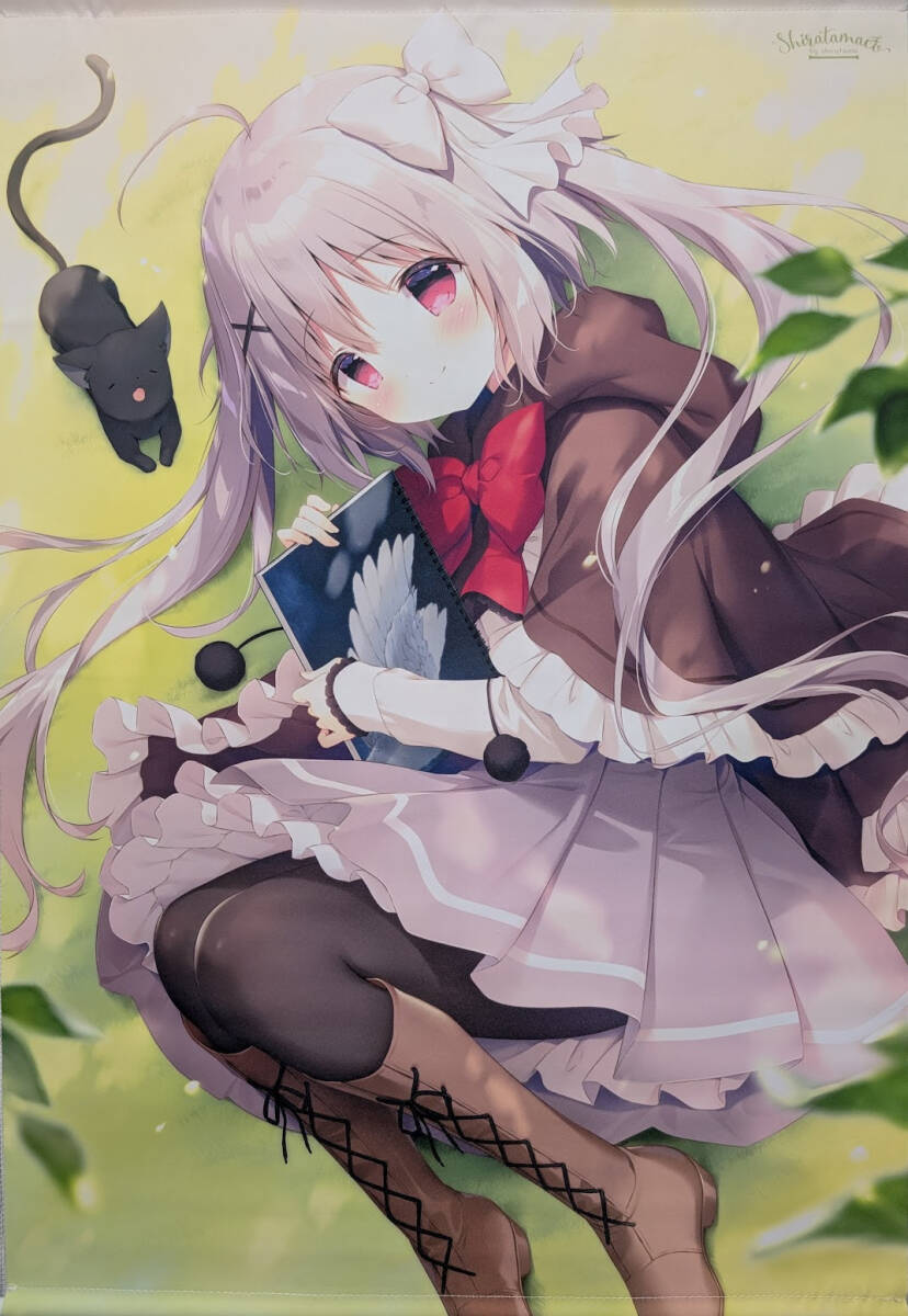 しらたま しらたまこ FANBOX継続特典第4弾 直筆サイン色紙 しらたま