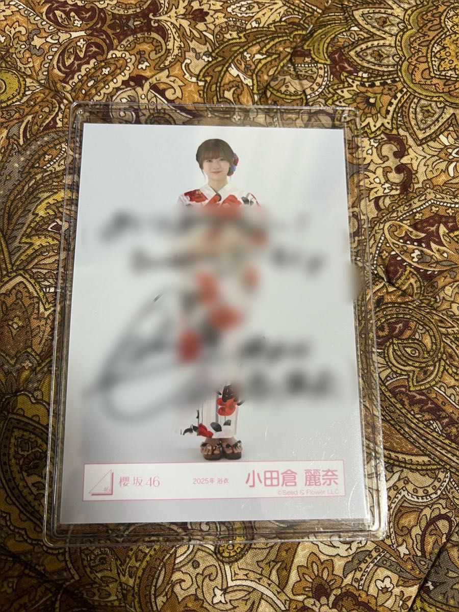 櫻坂46 井上梨名 2025年 サンタ衣装 直筆 サイン 生写真 ヒキ｜Yahoo