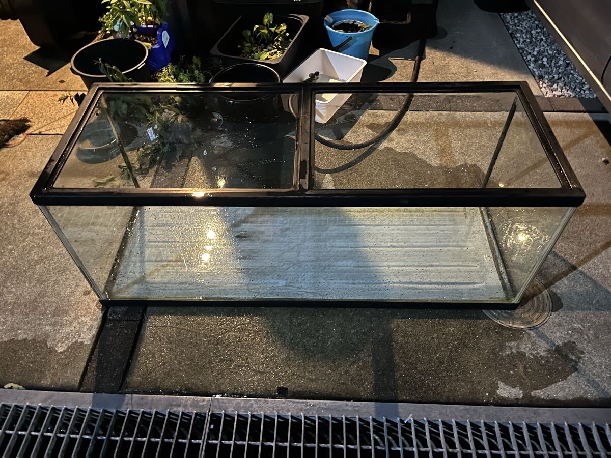 水槽 120 引き取り限定