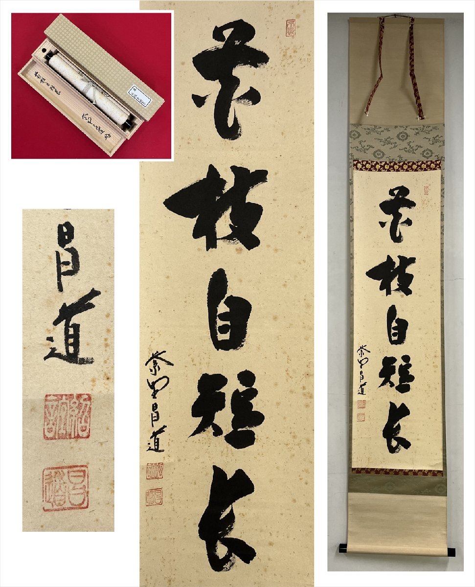 吉】11535 前田昌道 書「瀧」 共箱 大徳寺 塔頭 瑞峯院住職 和歌山