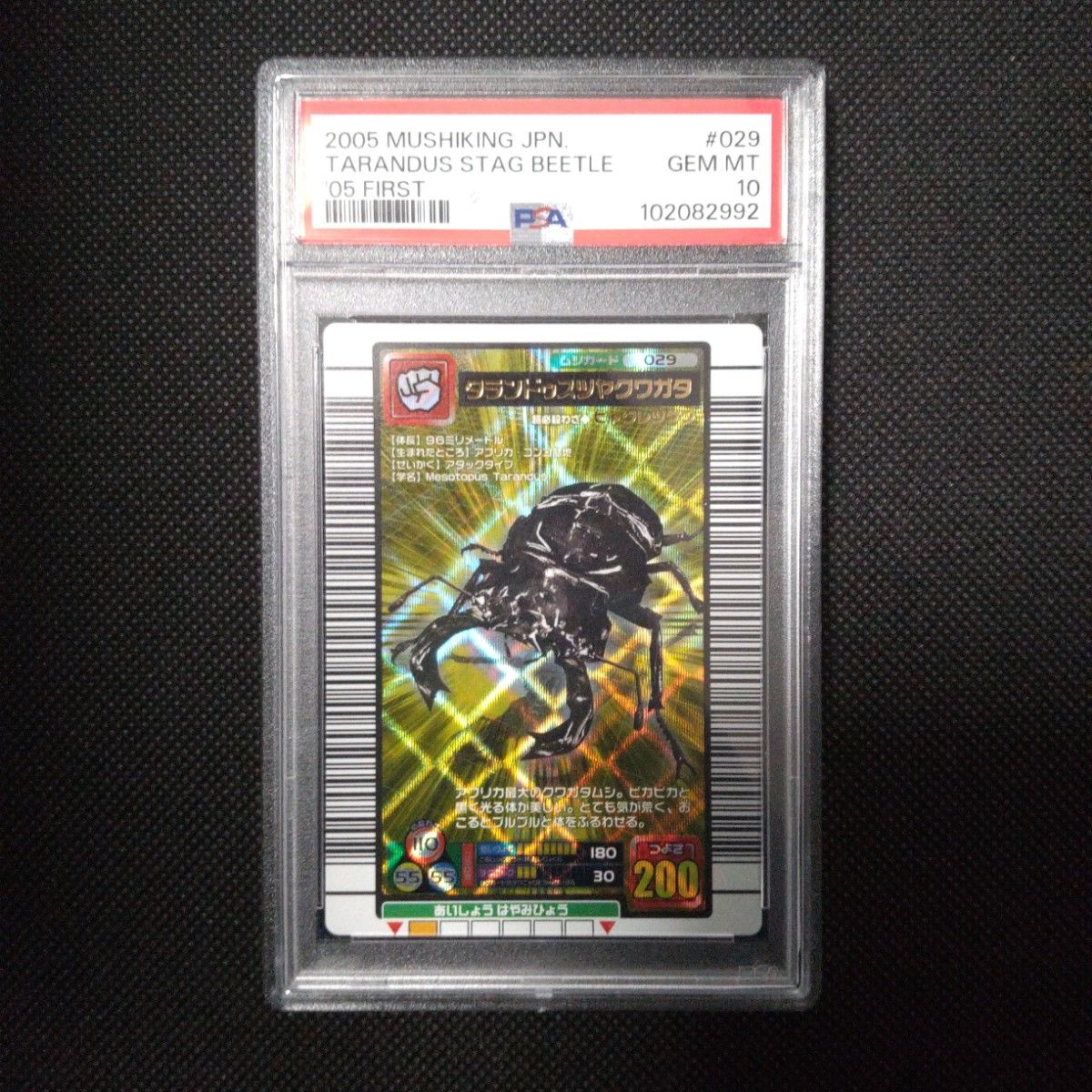 PSA10タランドゥスツヤクワガタ2007 ファースト