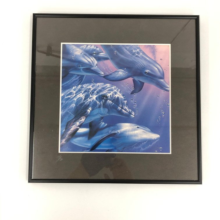 クリスチャンラッセン Dolphin Quest Ⅱ FIVE DOLPHINS II