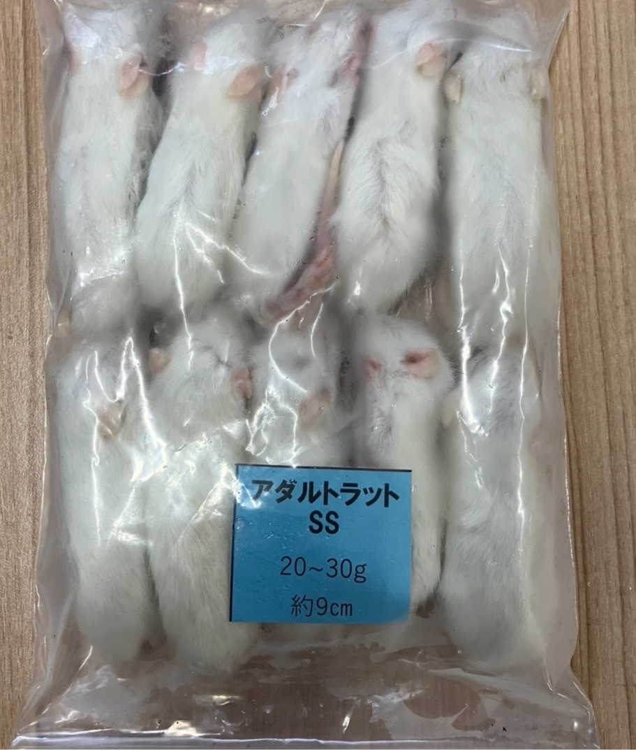 2026年最新】冷凍ラットの商品一覧｜爬虫類・猛禽類に適したエサ