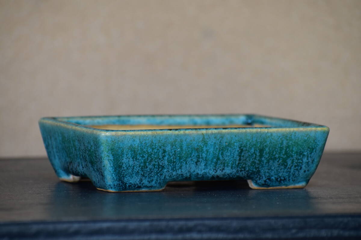 祝峯 盆栽鉢 祝峯 高級盆栽鉢 A3644☆陶器鉢 ミニ盆栽 小品盆栽