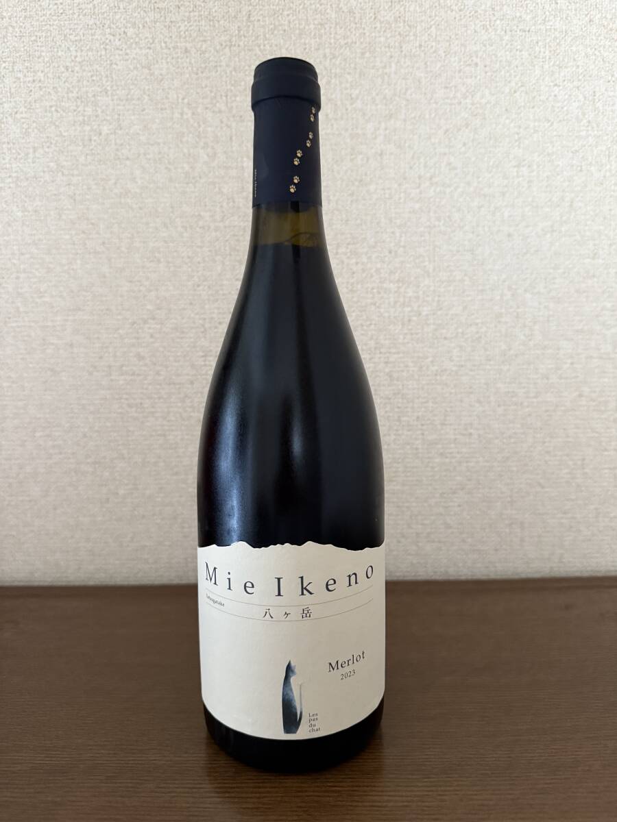 Yahoo!オークション -「mie ikeno」の落札相場・落札価格