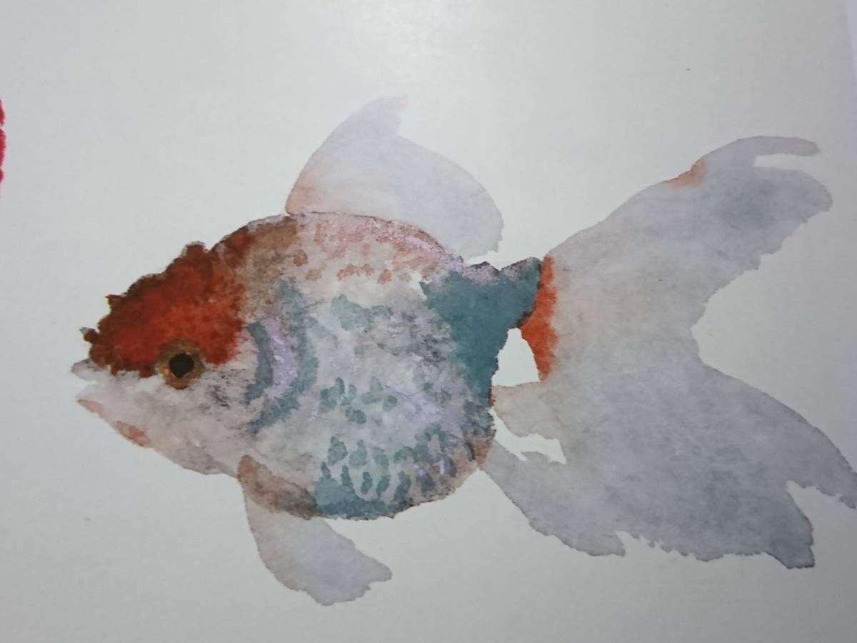 2026年最新】Yahoo!オークション -片岡鶴太郎 絵画(自然、風景画)の