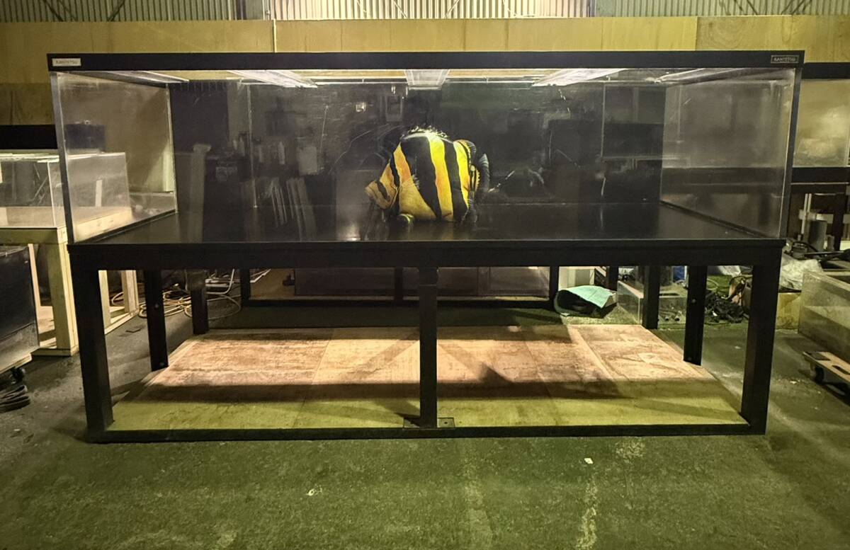 Yahoo!オークション -「アクリル水槽」(180cm～) (水槽)の落札相場