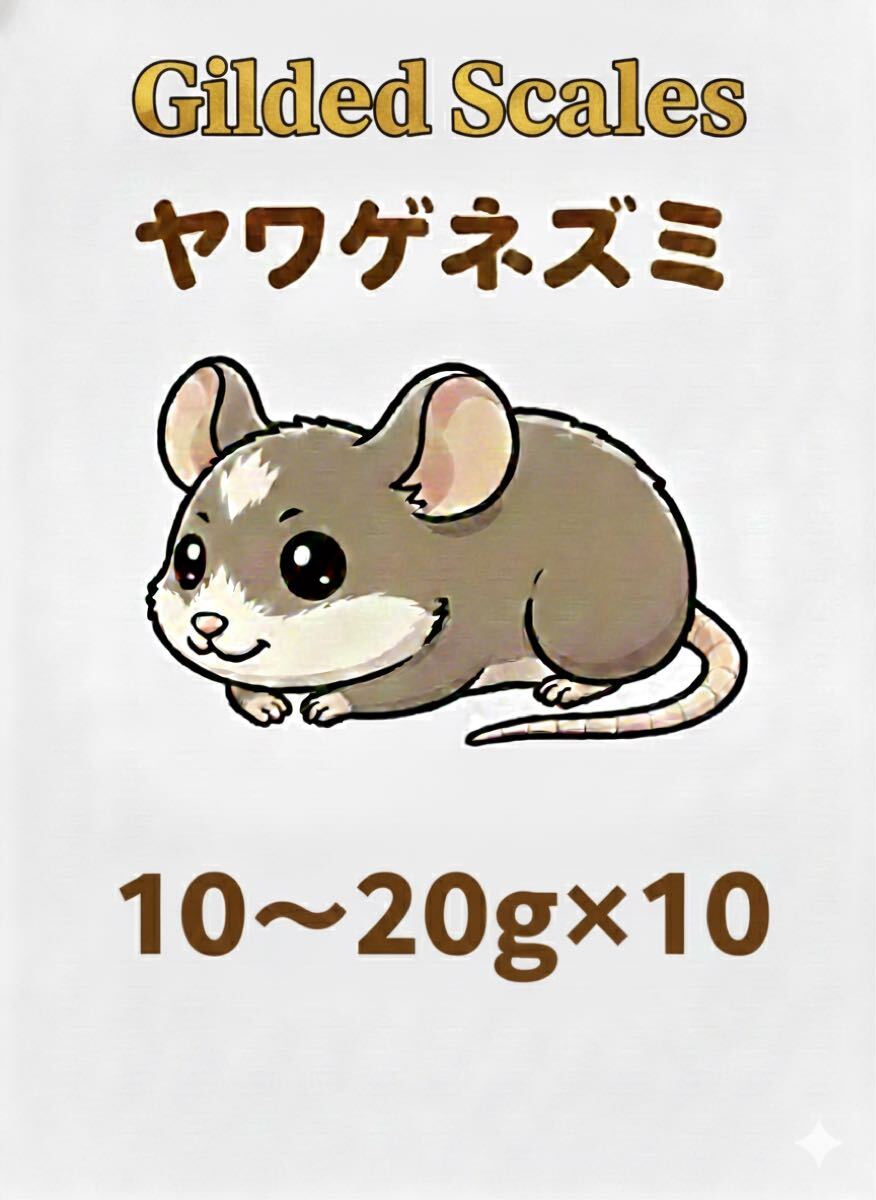 Yahoo!オークション -「ヤワゲネズミ」の落札相場・落札価格