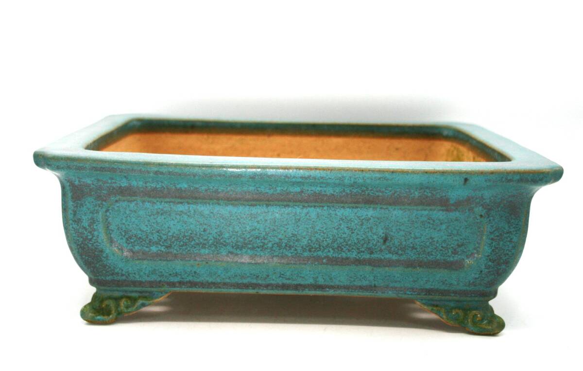 Yahoo!オークション -「片岡」(花、園芸) の落札相場・落札価格