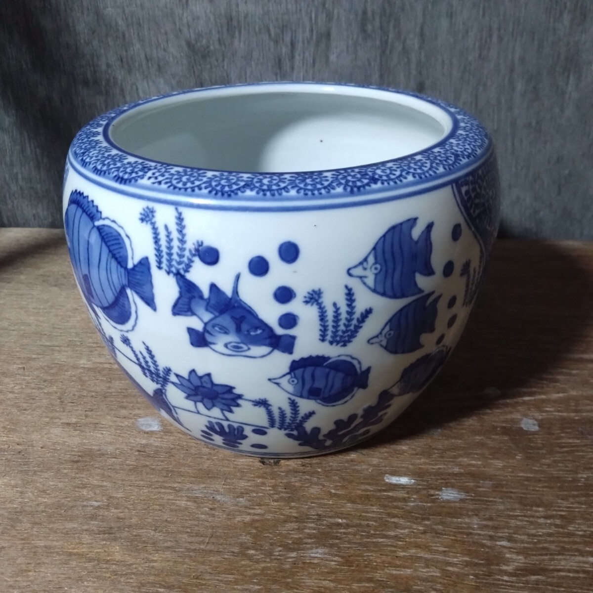 2026年最新】Yahoo!オークション -めだか(アンティーク、コレクション