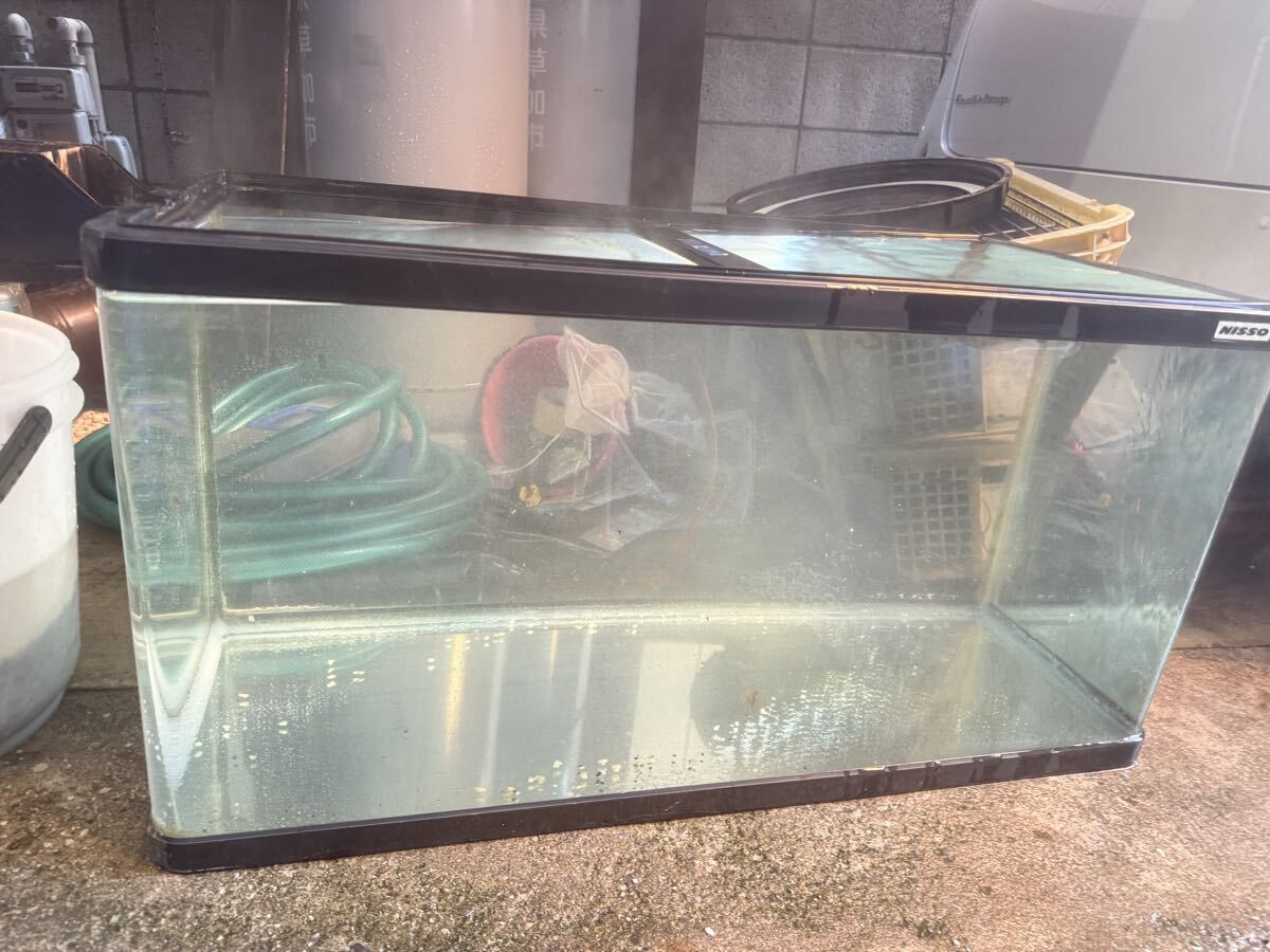 Yahoo!オークション -「(nisso)」(90cm～) (水槽)の落札相場・落札価格