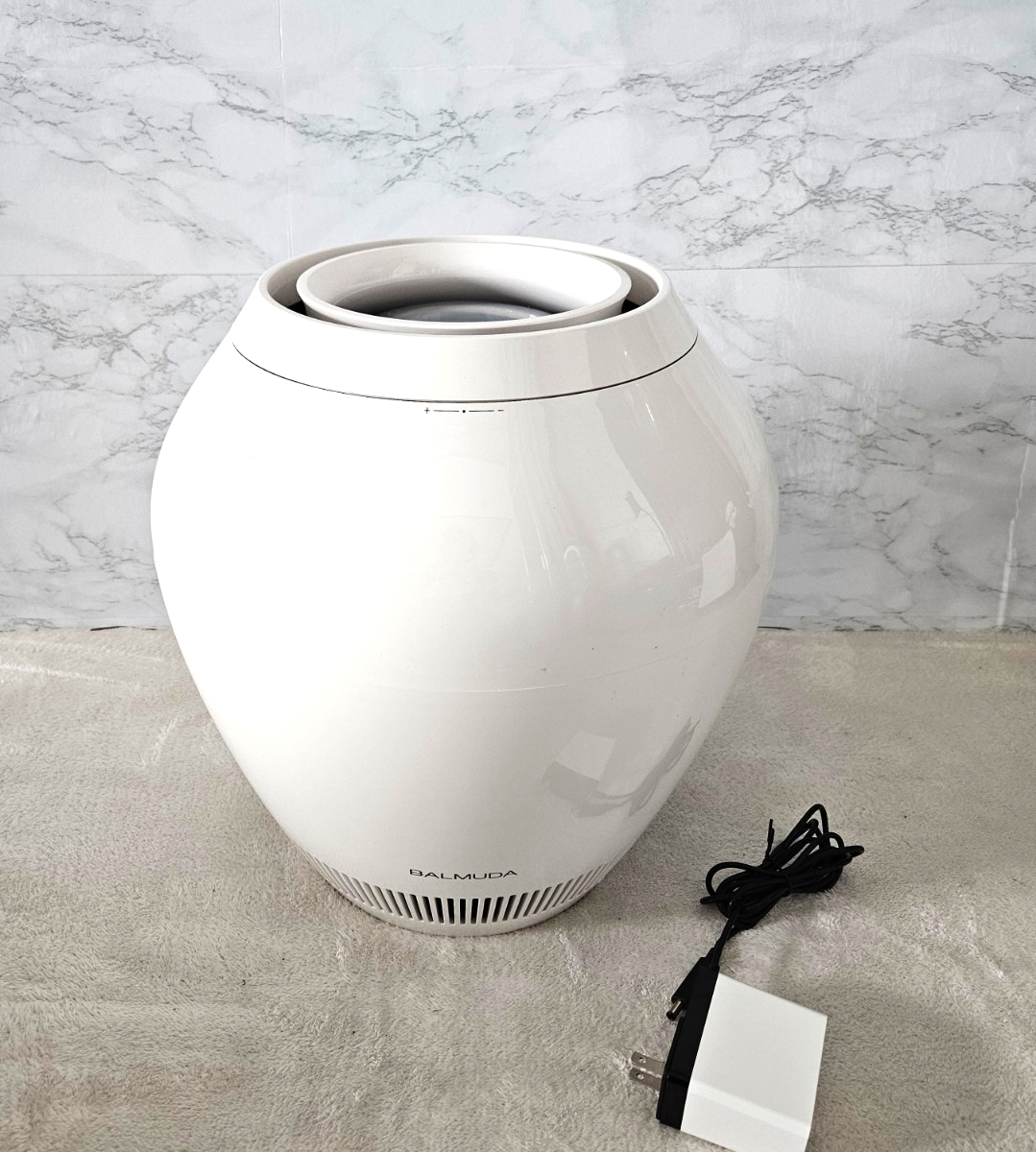 バルミューダ Rain ERN-1100SD オークション比較 - 価格.com