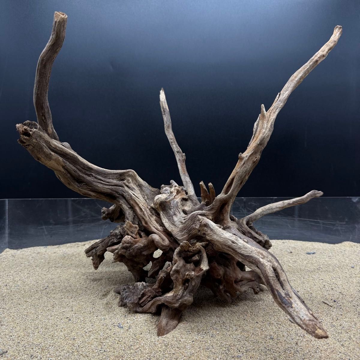 MSRW-7171天然流木2本セット スリムウッド アクアリウム｜Yahoo!フリマ