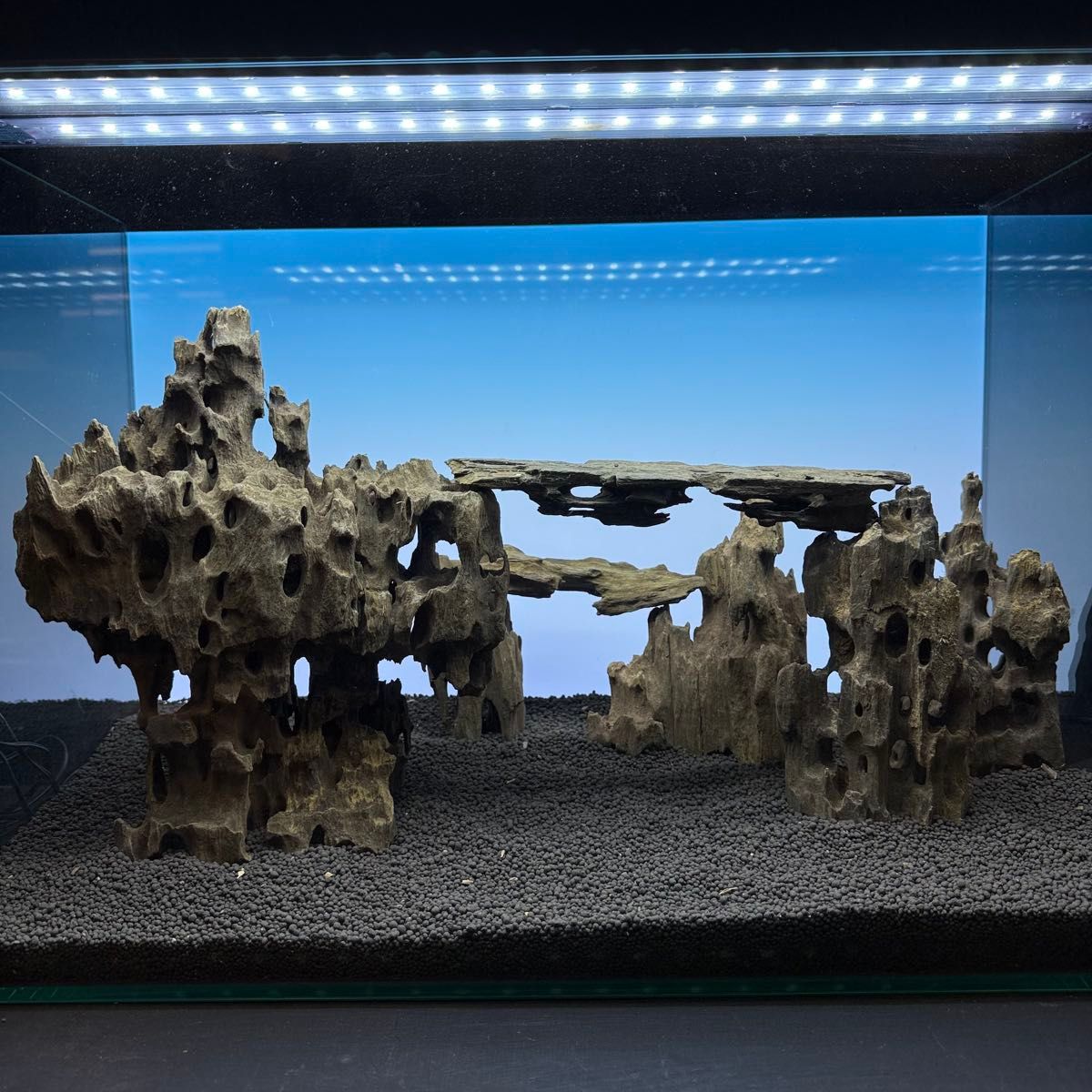 2[新品 アーチ形]ブランチウッド 大型 枝振多数 水槽 レイアウト 天然