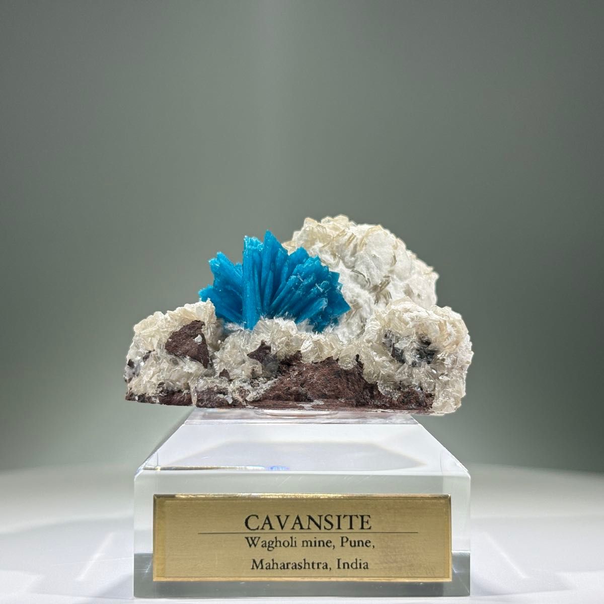 サルタサウルス 卵殻 化石 恐竜 鉱物標本 本物 原石 天然石｜Yahoo