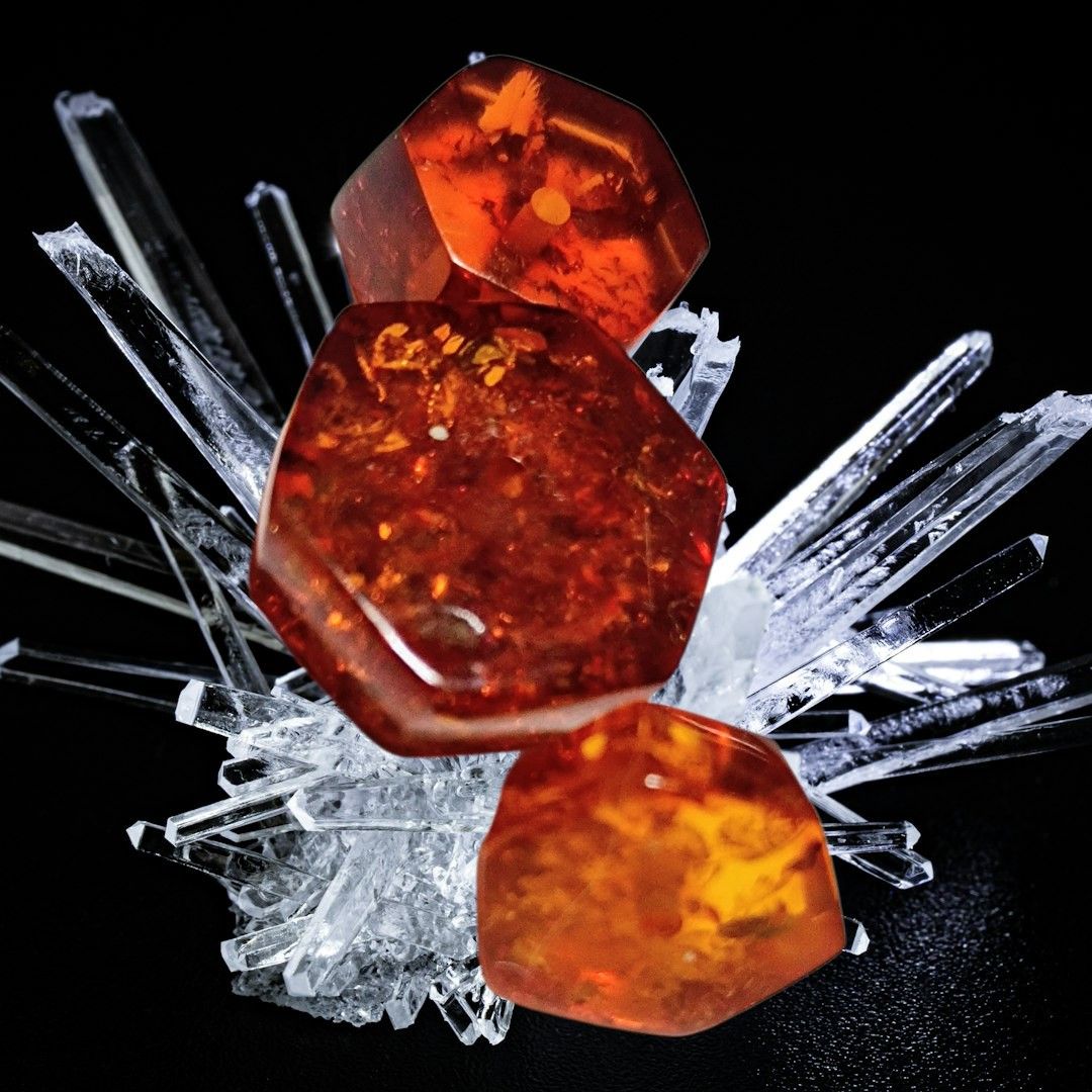 サルタサウルス 卵殻 化石 恐竜 鉱物標本 本物 原石 天然石｜Yahoo