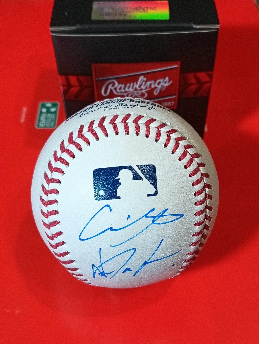 Yahoo!オークション -「山本由伸 サインボール」の落札相場・落札価格