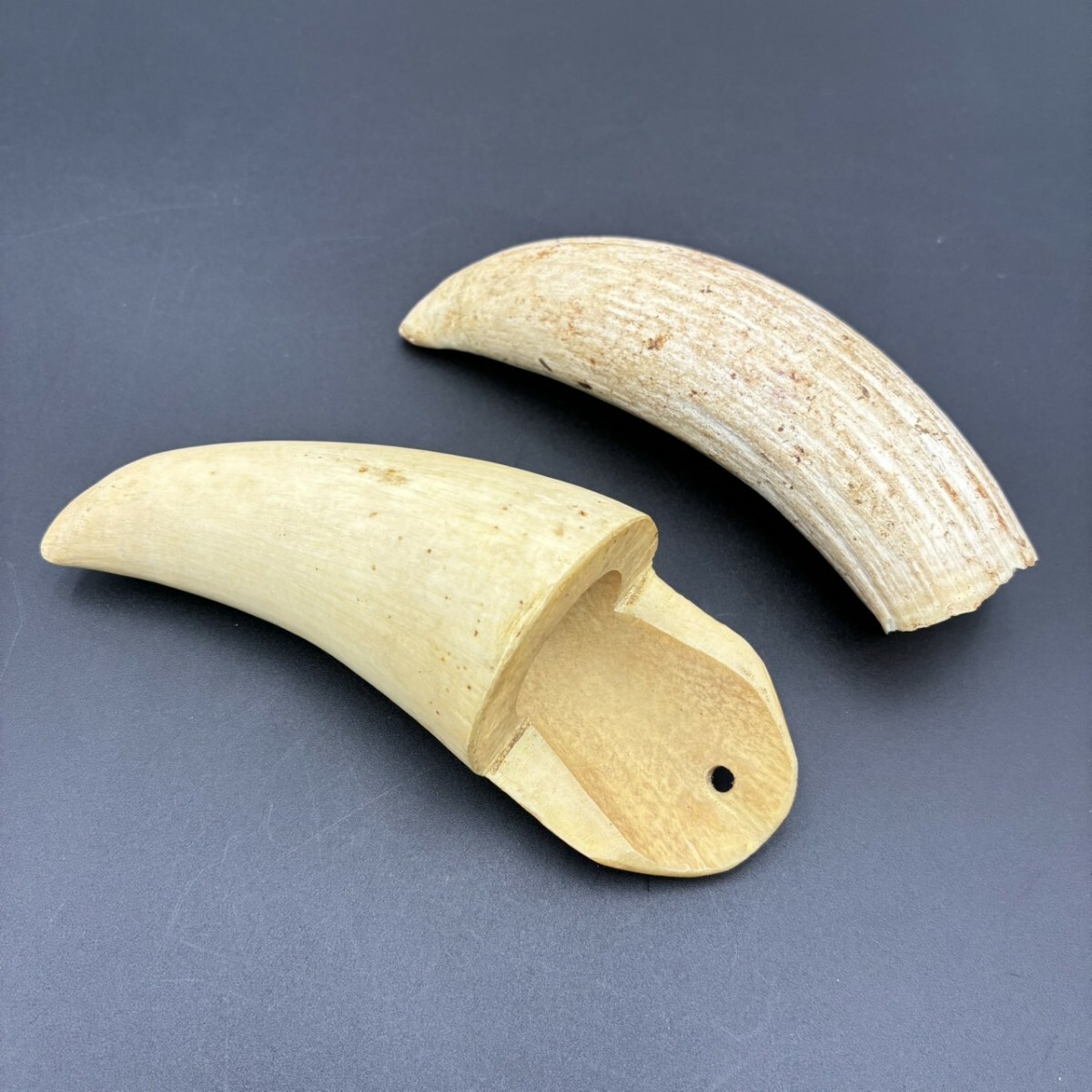 Yahoo!オークション -「マッコウクジラの歯」の落札相場・落札価格