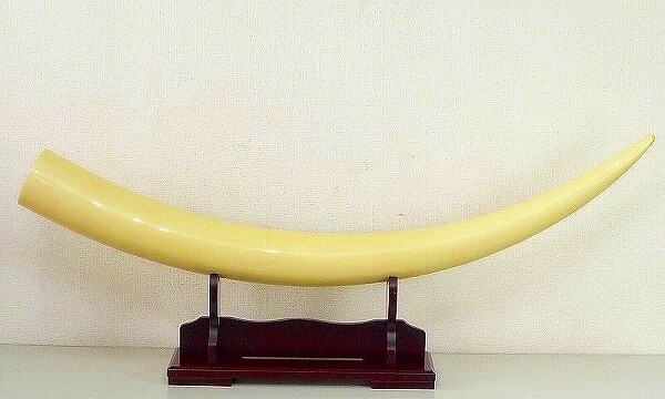 Yahoo!オークション -「鯨 牙」の落札相場・落札価格