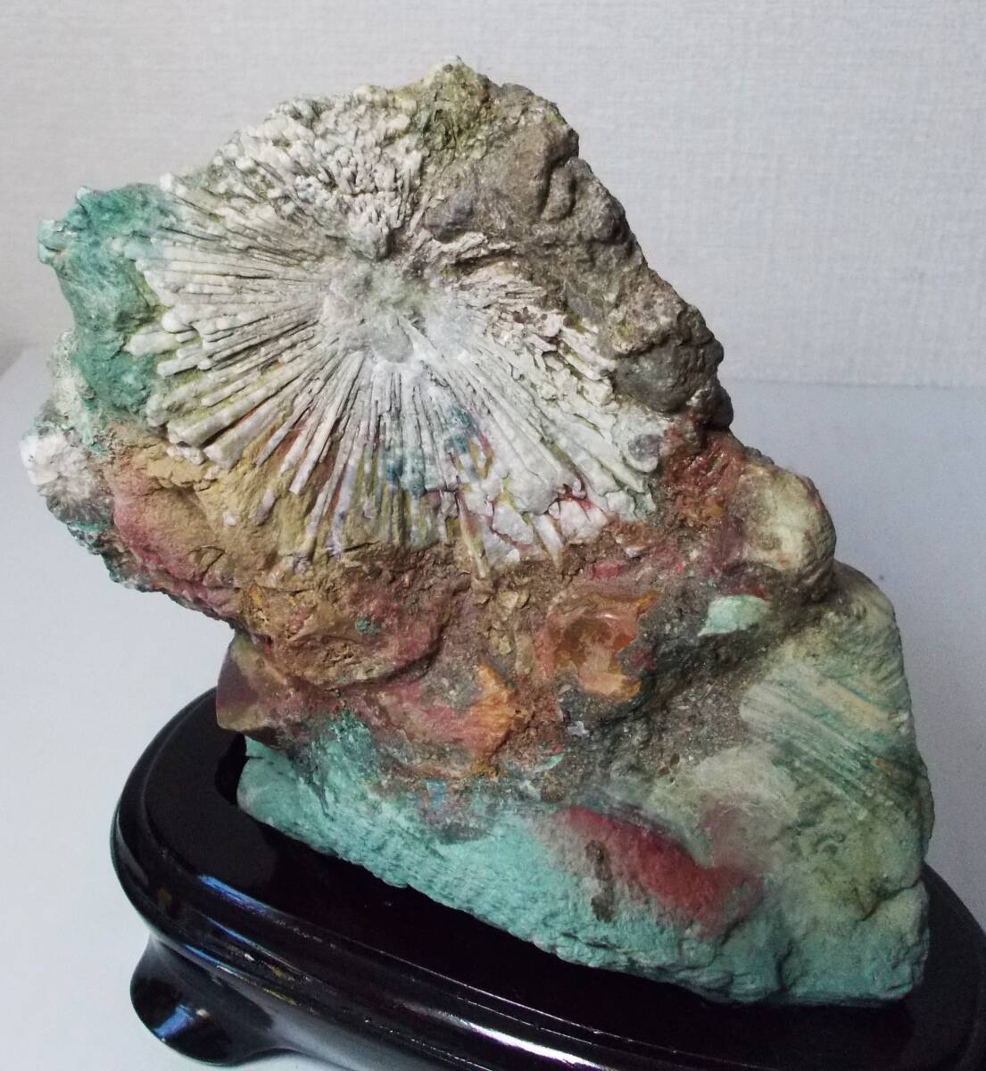 2026年最新】鑑賞石の商品一覧 - 雅やかな石の美しさを堪能できる石