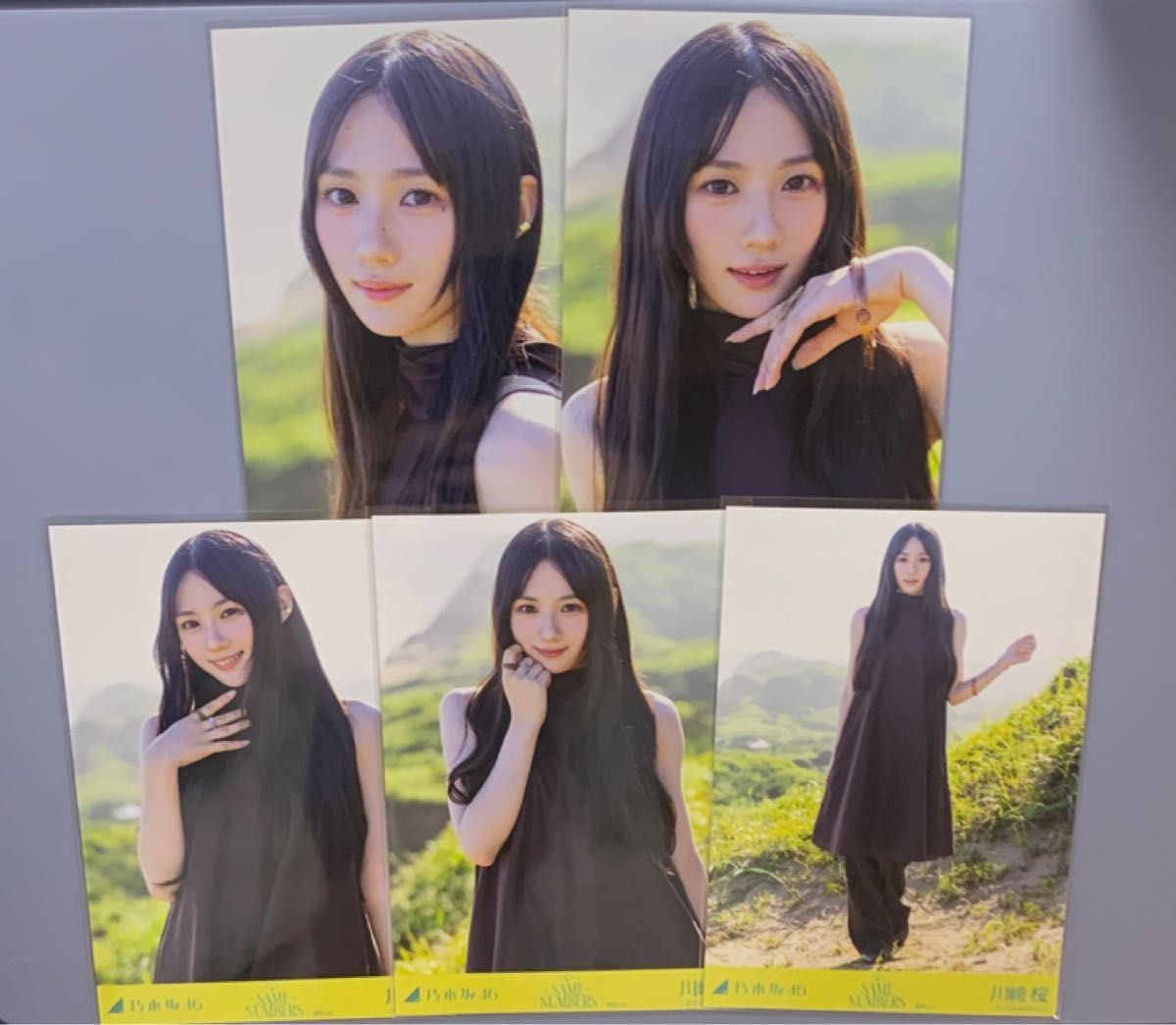 乃木坂46 Same number 封入生写真 海邉朱莉 4種コンプ｜Yahoo!フリマ