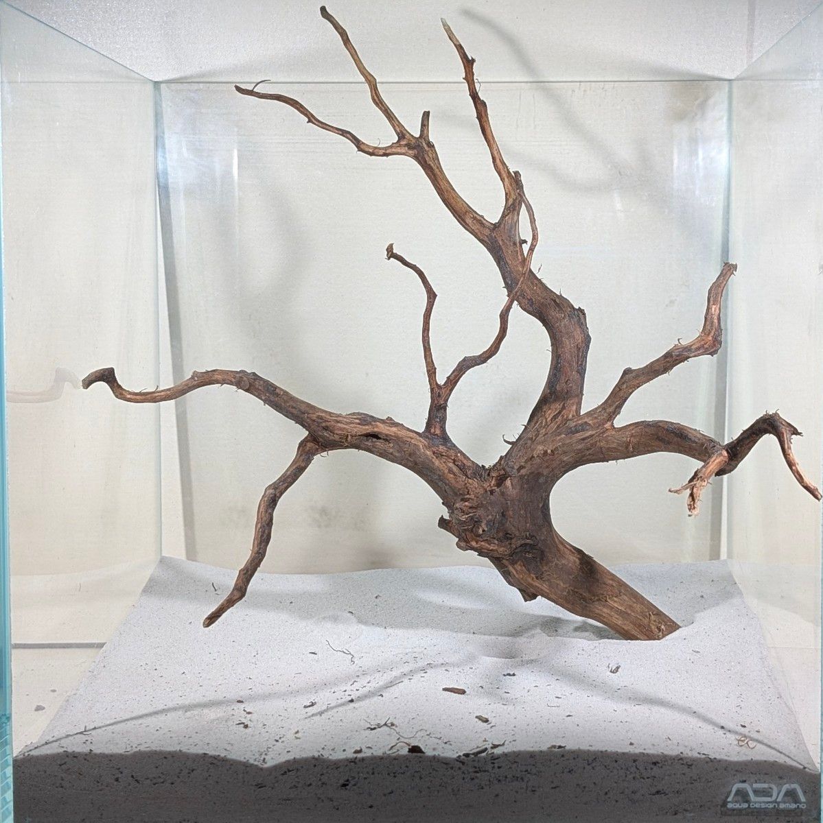 MSRW-6668天然流木 スリムウッド レイアウトセット アクアリウム