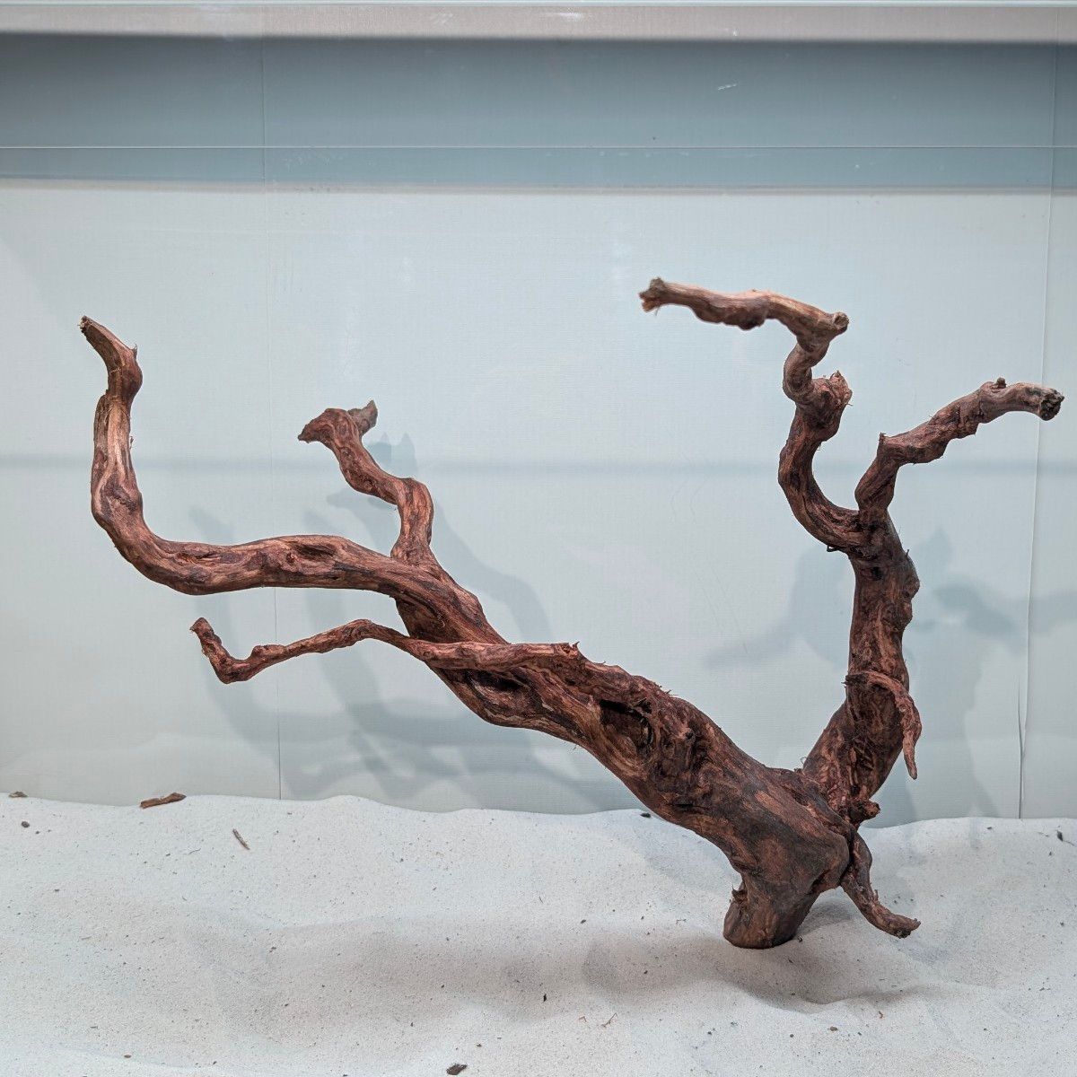 MSRW-6668天然流木 スリムウッド レイアウトセット アクアリウム