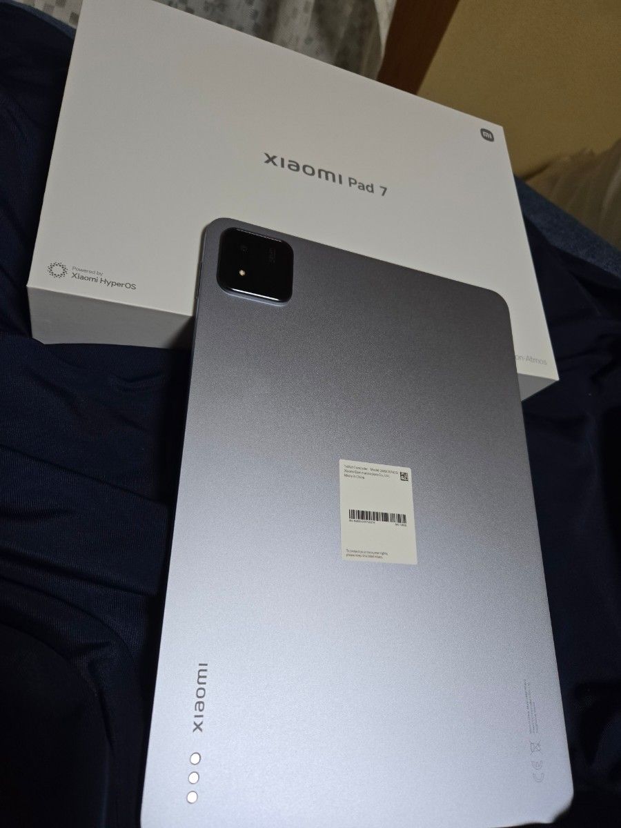 新品 Xiaomi Redmi Pad SE 8 7 ヨドバシ福袋(保護フィルム