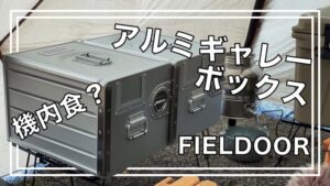 レビュー】フィールドアのアルミギャレーボックスは飛行機好きに