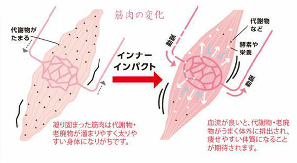 伊藤超短波インナーインパクト。お腹・足先の冷え・首肩こりに効果的