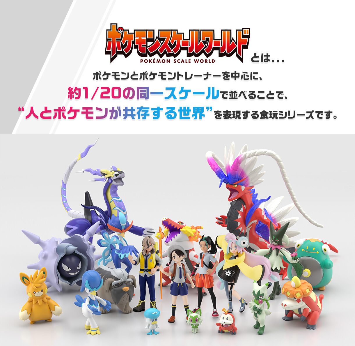 ポケモンスケールワールド パルデア地方 ミライドン