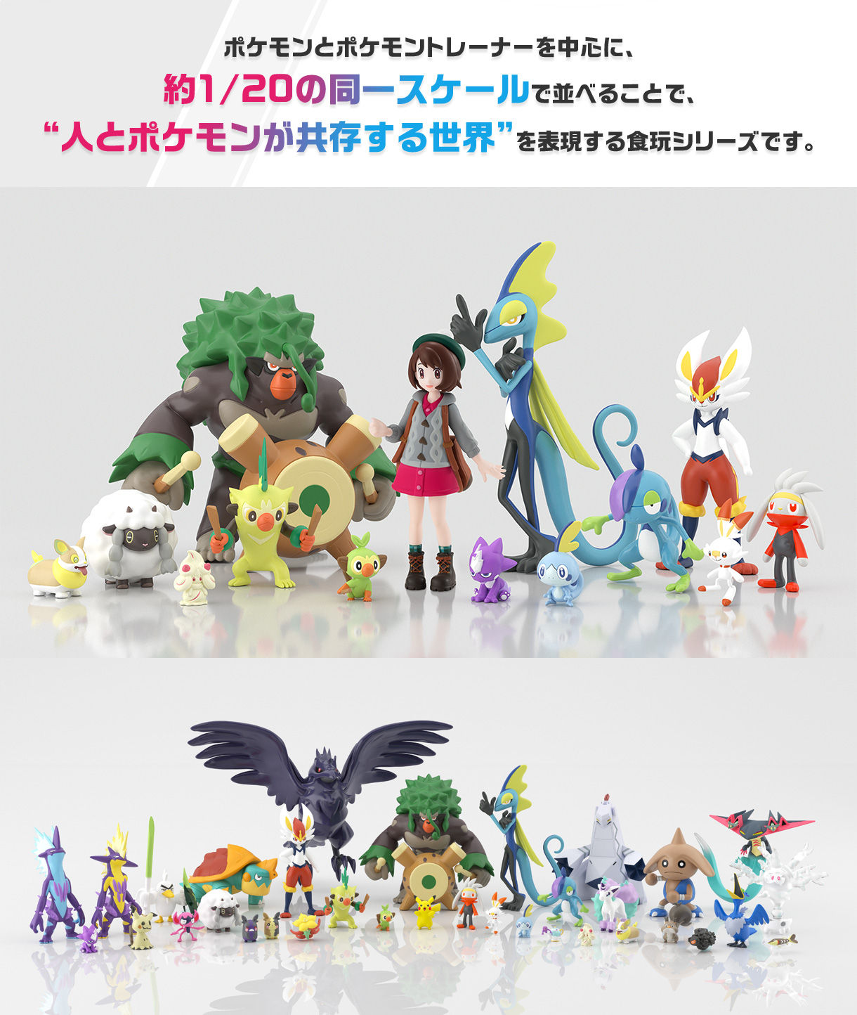 ポケモンスケールワールド ガラル地方 ダンデ＆ドラパルト