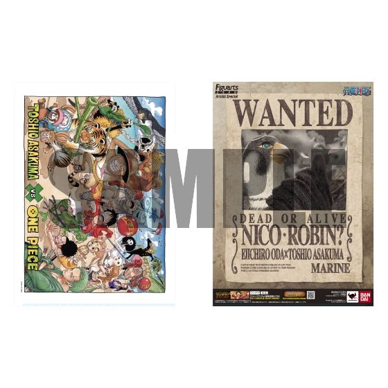 フィギュアーツ ZERO Artist Special ニコ・ロビン as ハヤブサ | ONE