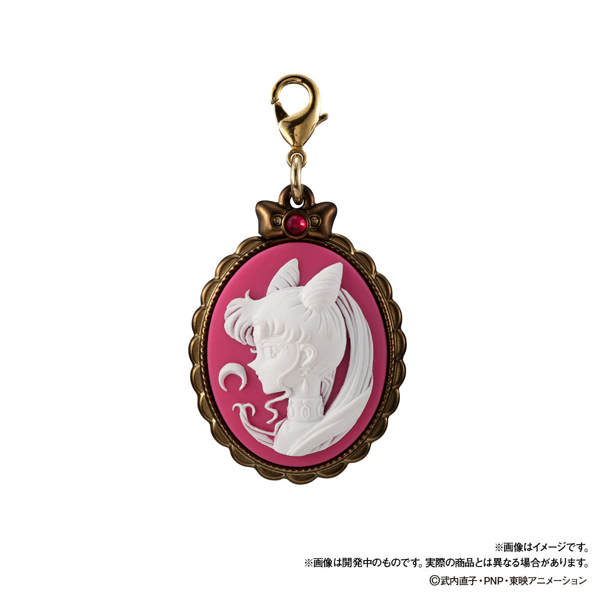 美少女戦士セーラームーン カメオチャームコレクションセット | 美少女