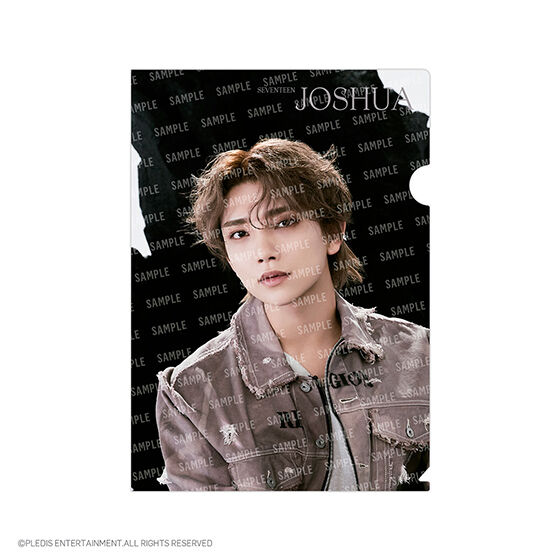 フラットガシャポン】SVTクリアファイル～Face the Sun～ From PLEDIS