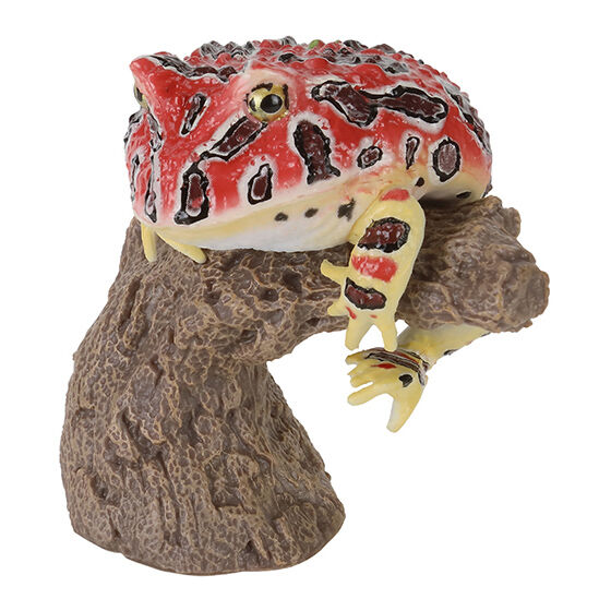 いきもの大図鑑 指まきコレクション ツノガエルとアメフクラガエルと