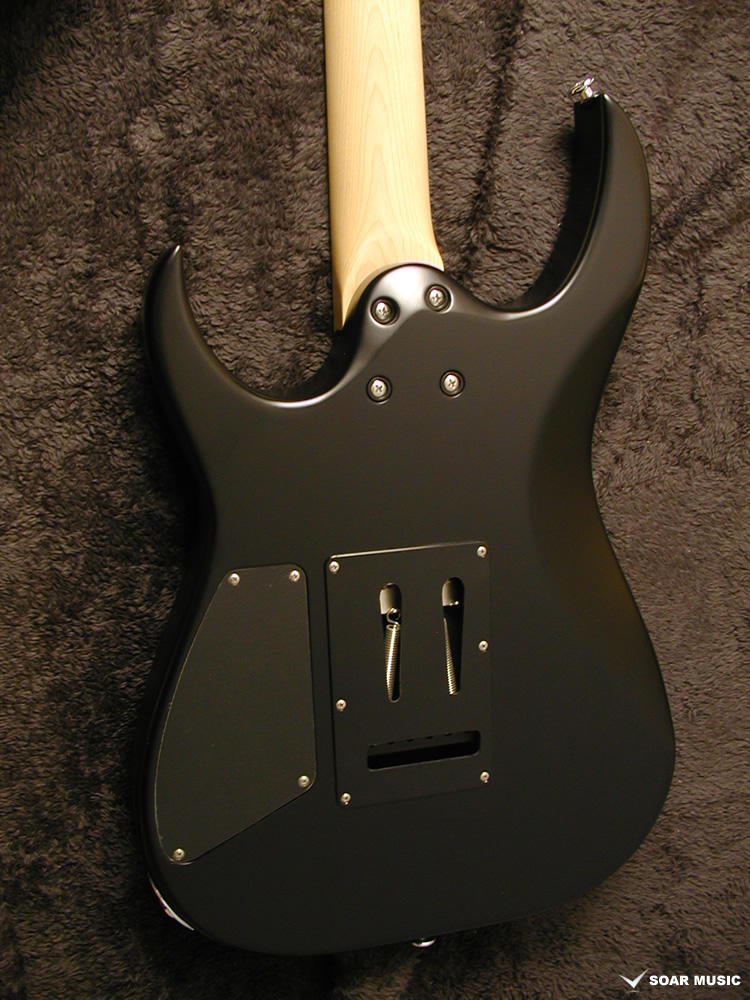 GRACE-AT/BW BLK-MAT マット仕上げ (Bacchus / バッカス) エレキギター