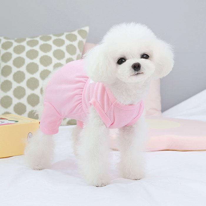 gpet6071_4_2048x.jpg?v=1718247936