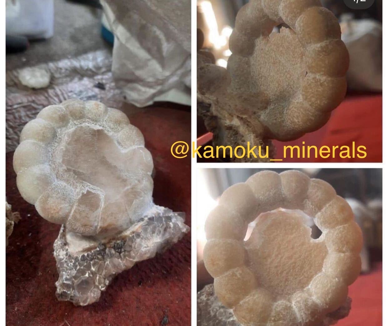 美形】 フローライト リング ポンデリング インド産 原石 鉱石 標本