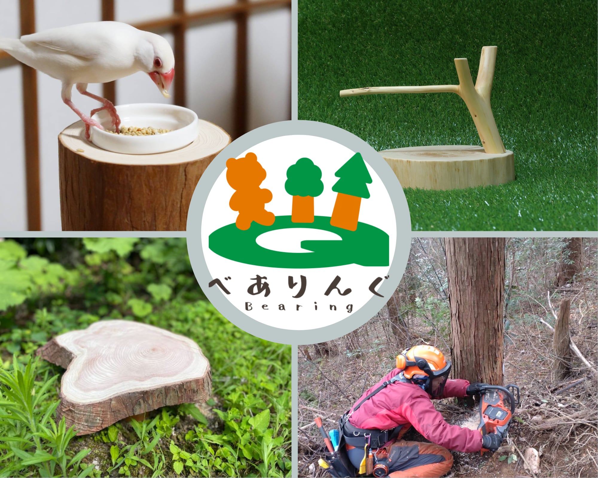 高さ1M 大型鳥用止まり木 天然ヒノキ枝製 【組み立てタイプ】 | ”山地