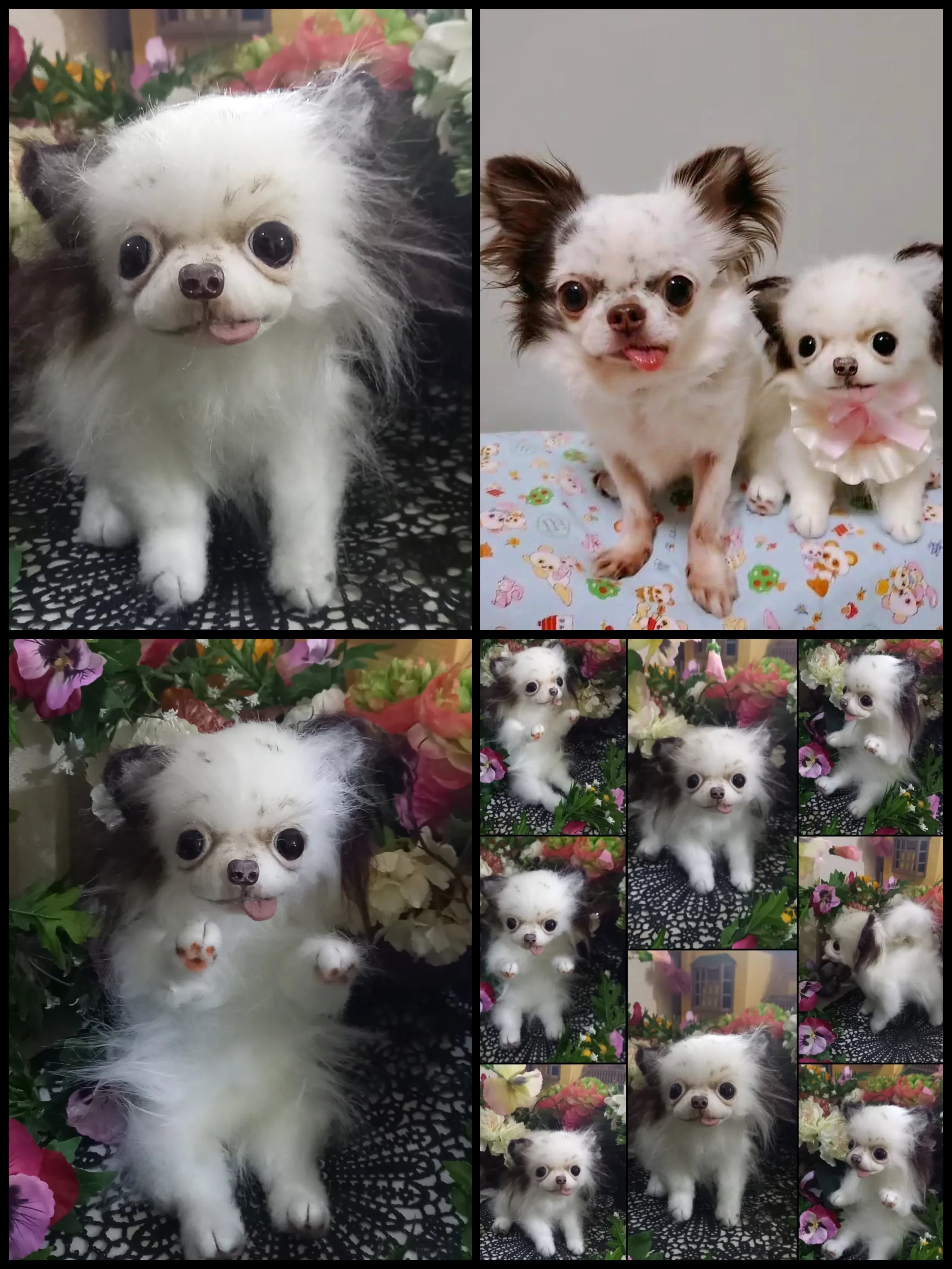 オーダー受付いたします♥️ 実物大 チワワ 愛犬 分身 ぬいぐるみ 羊毛