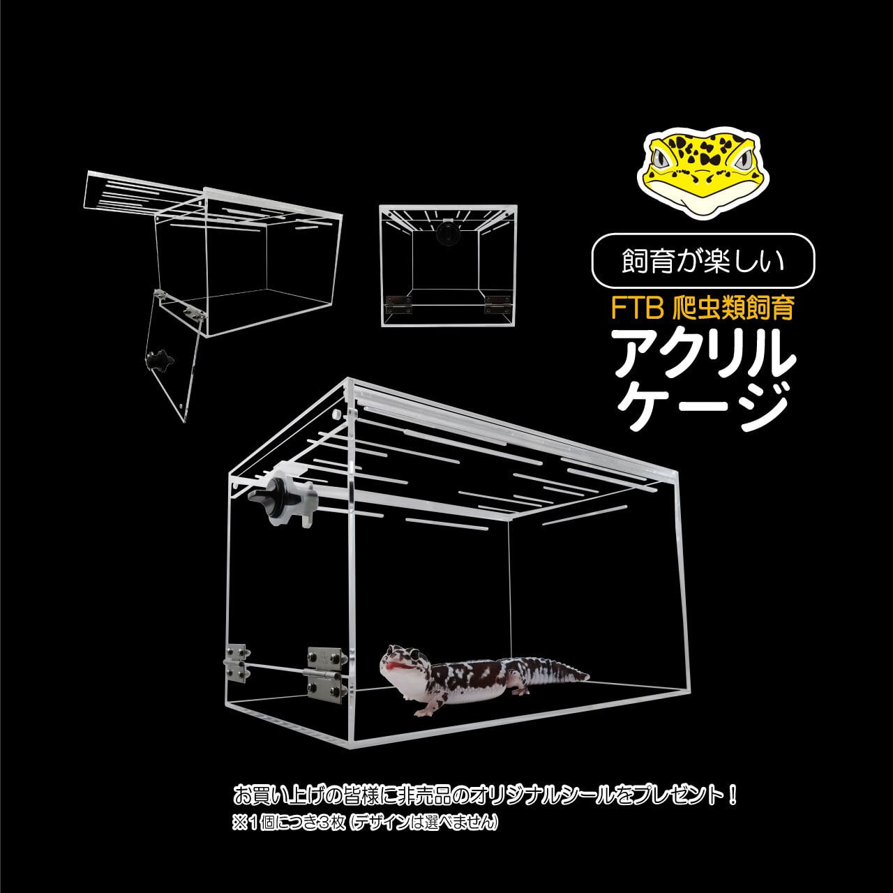 971 アカシアサイドアクリルケージ 詳細お写真2枚目掲載 971 アカシア