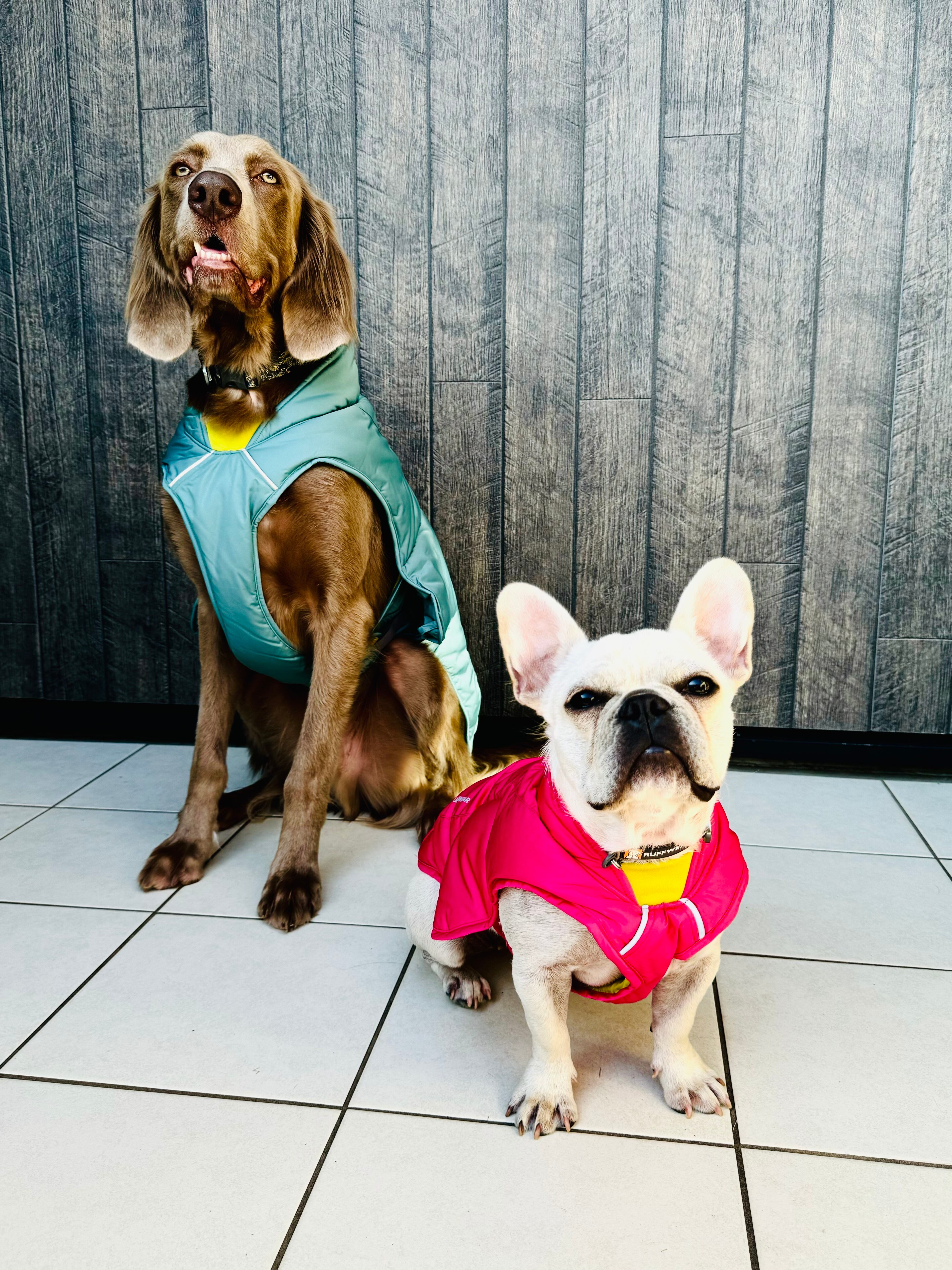 RUFFWEAR(ラフウェア) クインジードッグジャケット/リバーロック