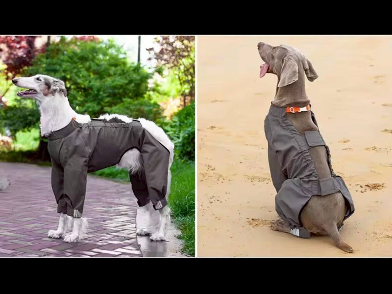 大〜超大型犬サイズ 反射板付き2wayレインコート | Le Cielドッグ