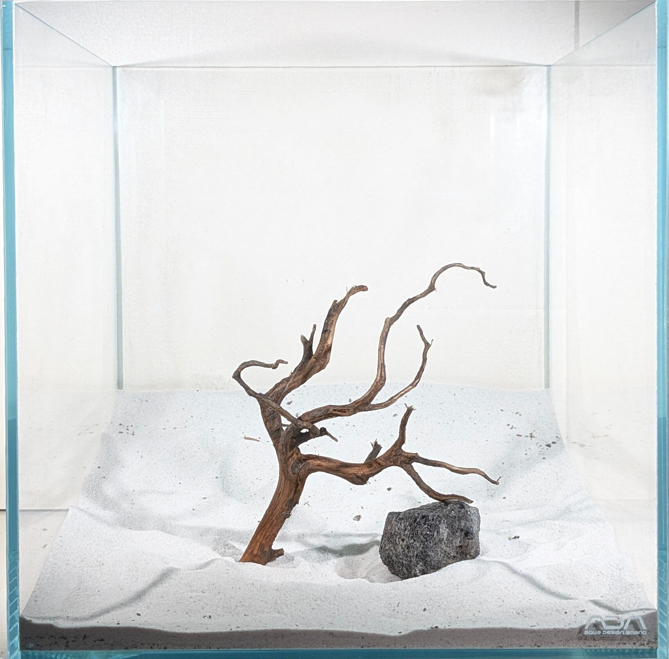 スマトラブランチウッド【SBC098】流木 アクアリウム 水槽 熱帯魚