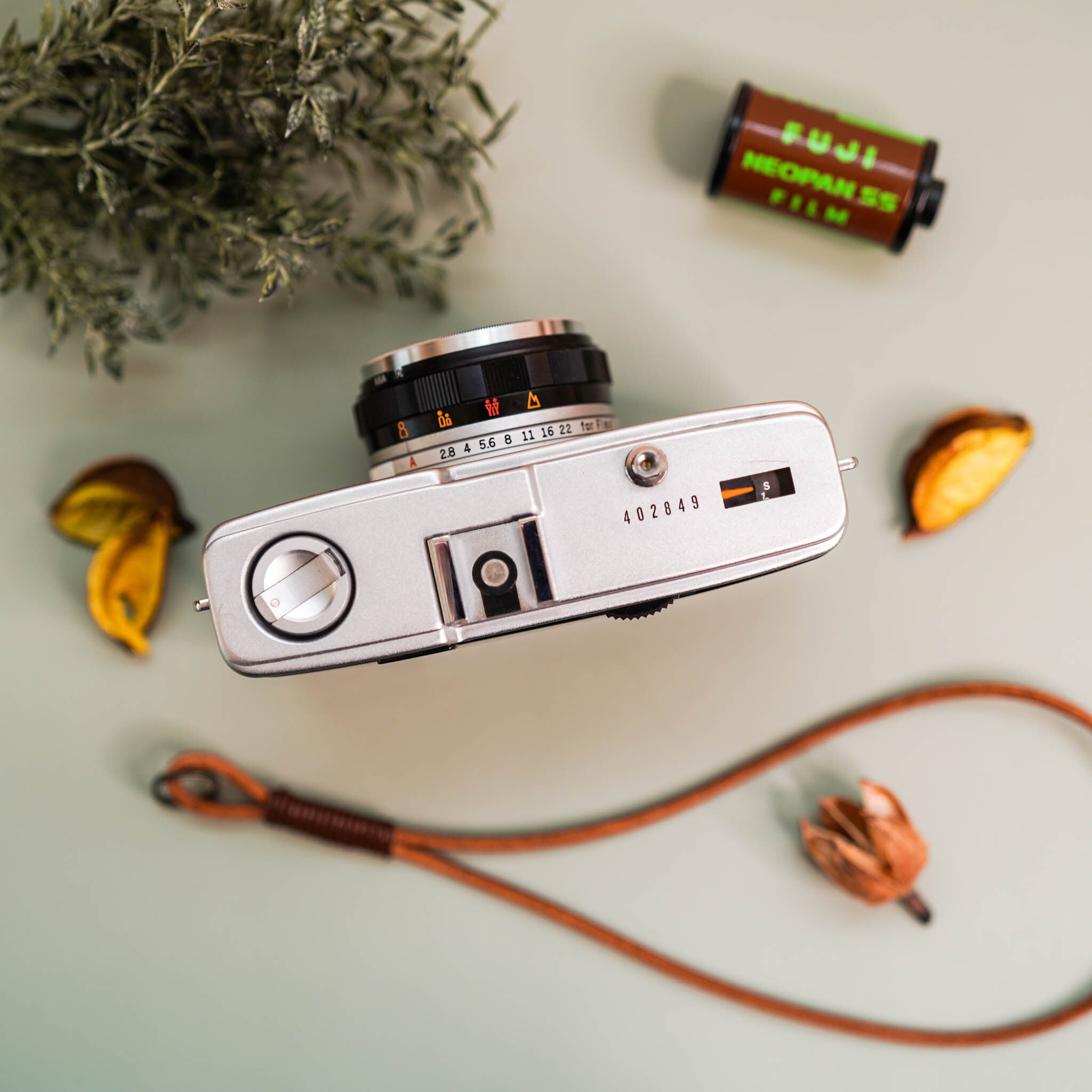 Matcha Green 抹茶グリーン Olympus Trip35 | Macha Cameras