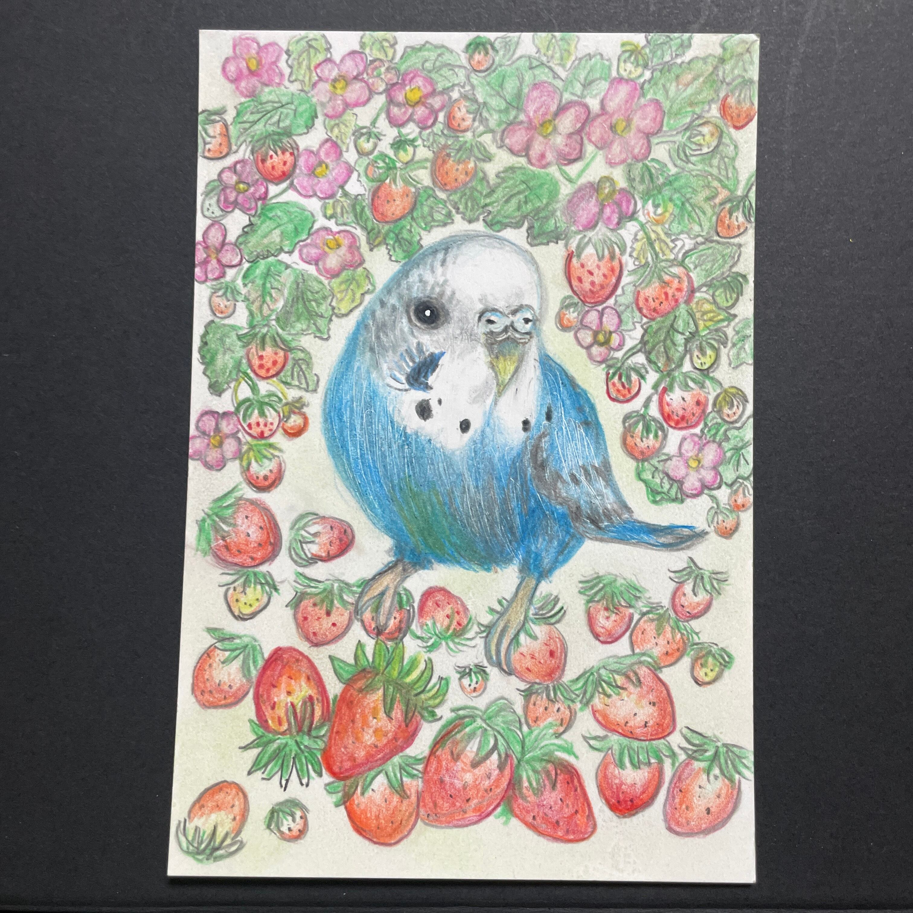キャンバス油絵 専用 仲良く集まるカラフルかわいいインコたち